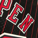 Chicago Bulls Mitchell & Ness Retro Scottie Pippen #33 Men’s Jersey