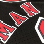 Chicago Bulls Mitchell & Ness Retro Dennis Rodman #91 Men’s Jersey