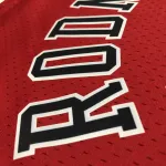 Chicago Bulls Mitchell & Ness Retro Dennis Rodman #91 Men’s Jersey