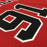 Chicago Bulls Mitchell & Ness Retro Dennis Rodman #91 Men’s Jersey