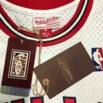 Chicago Bulls Mitchell & Ness Retro Dennis Rodman #91 Men’s Jersey