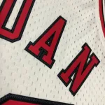 Chicago Bulls Mitchell & Ness Retro Michael Jordan #23 Men’s Jersey
