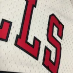 Chicago Bulls Mitchell & Ness Retro Michael Jordan #23 Men’s Jersey