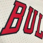 Chicago Bulls Mitchell & Ness Retro Michael Jordan #23 Men’s Jersey