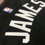 Miami Heat V-Neck LeBron James #6 Men’s Jersey