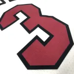 Miami Heat Camiseta cuello pico Dwyane Wade #3 Hombre