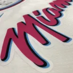 Camisola dos Miami Heat Bam Adebayo #13 para homem