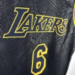 Los Angeles Lakers LeBron James #6 Youth Jersey
