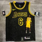 Los Angeles Lakers LeBron James #6 Herenshirt Los Angeles Lakers LeBron James #6 Herenshirt