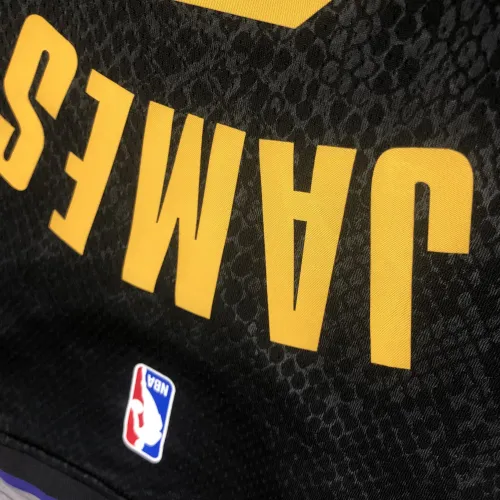 Los Angeles Lakers LeBron James #6 Herren Trikot