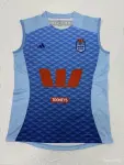 Camisola de 2026 dos Blues de Nova Gales do Sul Azul celeste com padrão de diamante para mulher