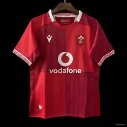 2026 Wales home Red with Vertical Stripe Pattern Jersey - product photo US24.99 - 2026 Wales home Red with Vertical Stripe Pattern Jersey
