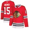 Men's Chicago Blackhawks Artem Anisimov #15 adidas Red Premium Player Jersey