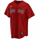 Men’s Boston Red Sox Chris Sale #41 Nike Red Alternate 2020 Jersey