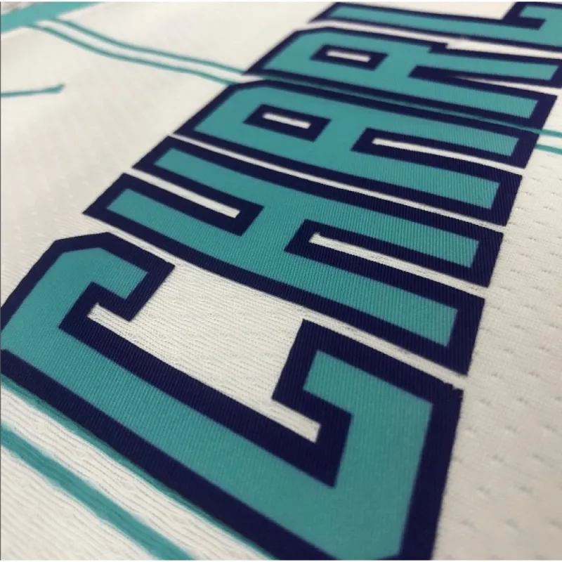 Men’s Charlotte Hornets Hayward #20 White 20/21 Swingman Jersey – Association Edition