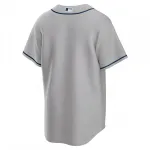 Tampa Bay Rays Nike Road Replica Team Jersey – Gray