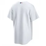 St. Louis Cardinals Nike Home Blank Replica Jersey – White