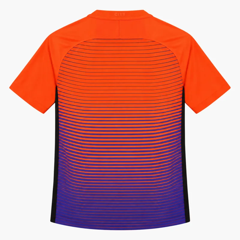 16/17 Manchester City Retro Third Jersey — AI-generated product preview, back view