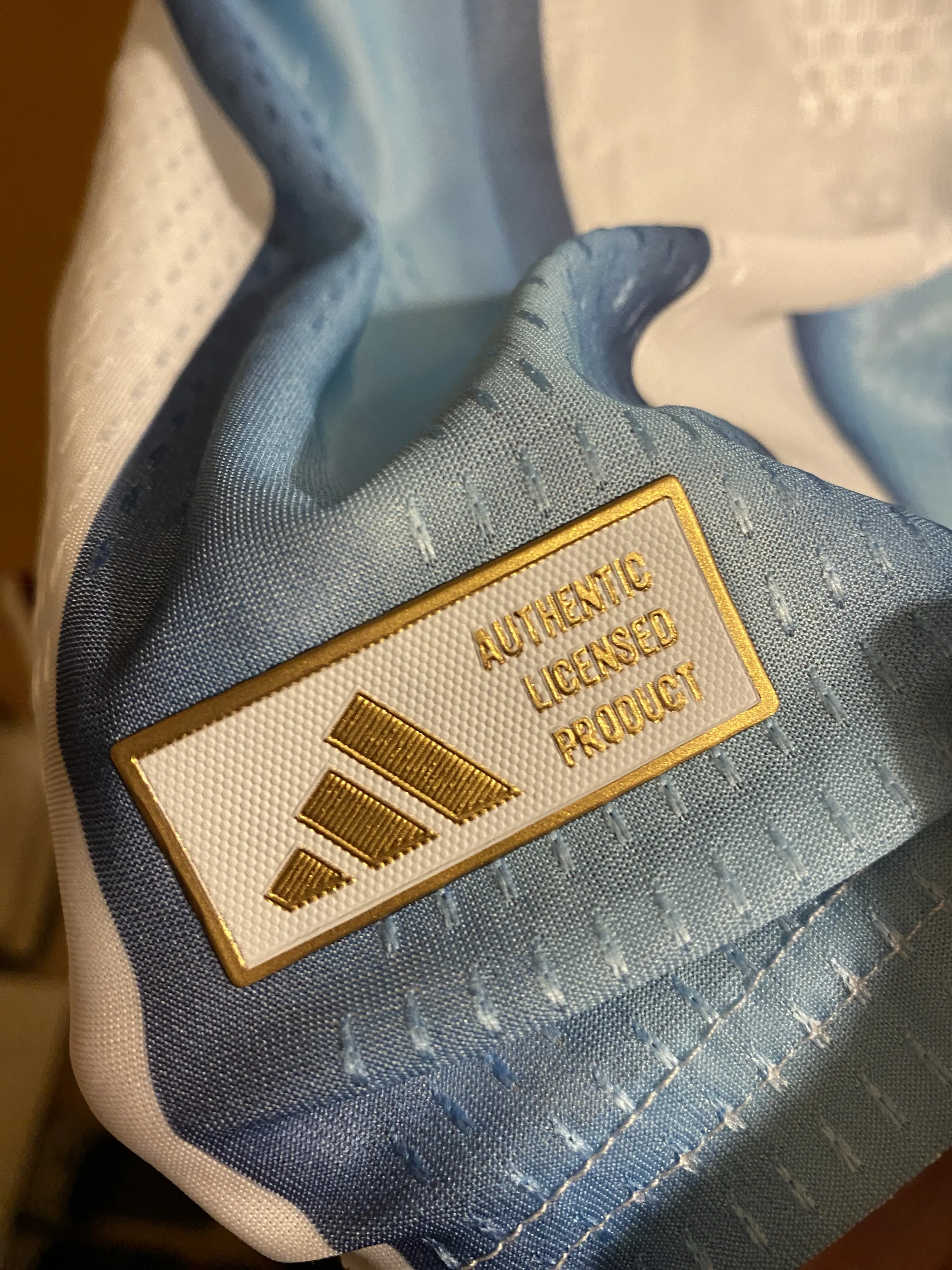 World Cup 2026 Argentina Player Version Jersey Home photo review