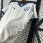 25/26 Bahia Home Soccer jersey