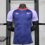 24/25 Arsenal Special Edition blue Player jersey
