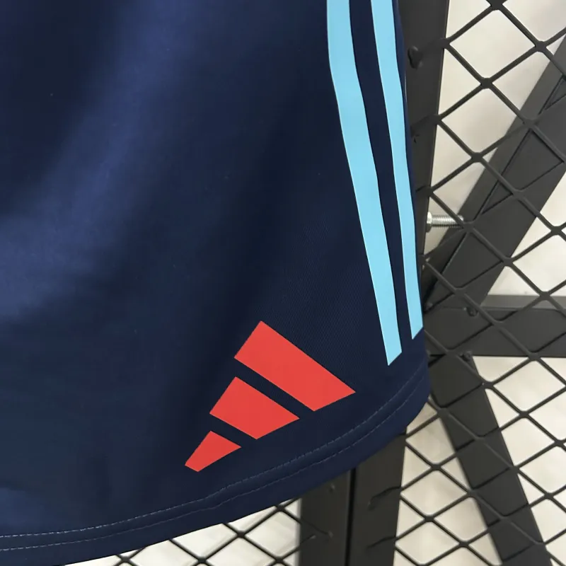 25/26 Flamengo Blau Spieler Shorts