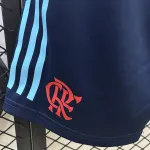 25/26 Flamengo Blau Spieler Shorts