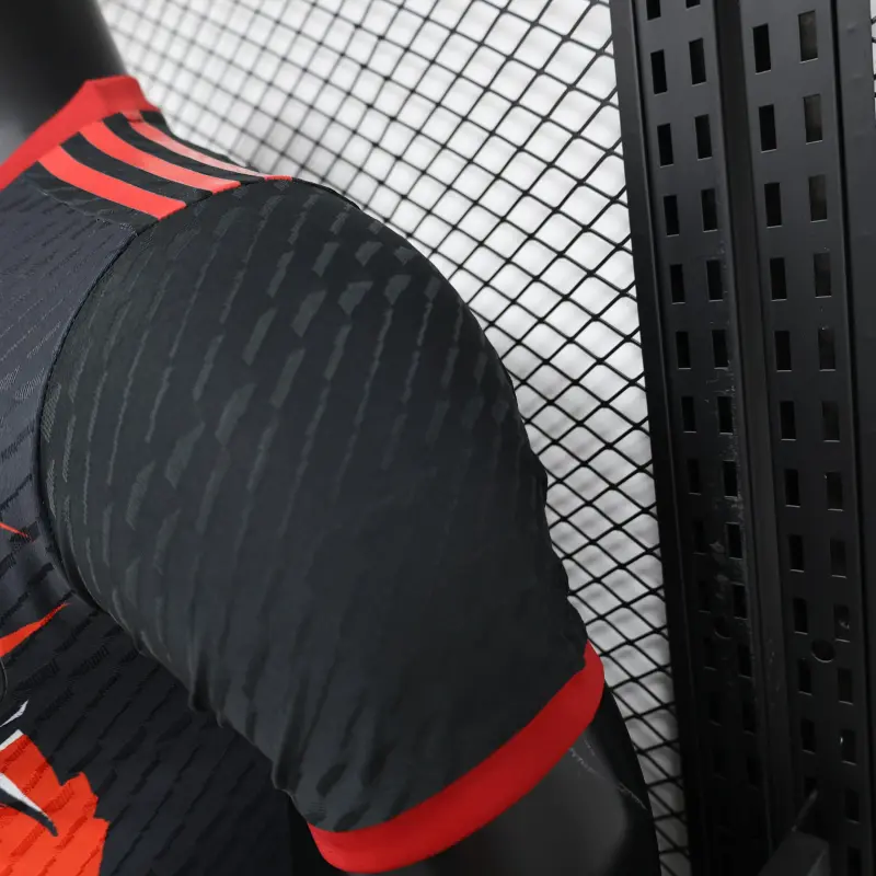 2024 Japan Red And Black Special Edition Player Version Jersey
