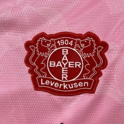 25/26 Bayer 04 Leverkusen Away Soccer Jersey