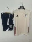 25/26 Aston Villa rosa Weste ärmelloses Trainingstrikot 25/26 Aston Villa pink Vest Sleeveless training Kit
