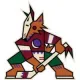 Arizona Coyotes