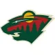 Dallas Stars