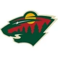 Dallas Stars
