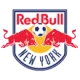Les Red Bulls de New York